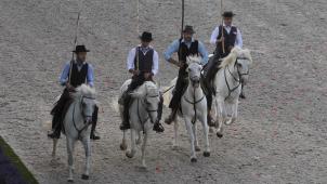 <p>Hirte Renaud Vinuesa mit Camargue-Stuten und Fohlen</p>