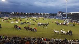 <p>Heute um 14 Uhr startet der Marathon der Gespannfahrer.</p>