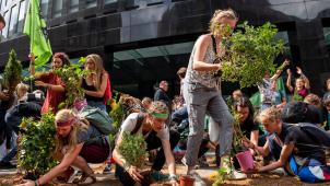 <p>Fridays for Future-Demonstranten stellen vor der Zentrale von Innogy SE, einer Tochtergesellschaft des Energieversorgers RWE, Pflanzen auf. Mit einer Demonstration haben die Teilnehmer des Fridays for Future-Sommerkongresses in Dortmund ihren Protest am Freitag in die Innenstadt getragen.</p>
