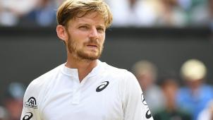 <p>David Goffin</p>