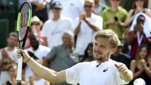 <p>David Goffin steht in der Runde der letzten Acht des ATP-Masters von Cincinnati.</p>