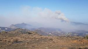 <p>Der Waldbrand in den Bergen von Gran Canaria hat sich dem Präsidenten der Kanarischen Inseln zufolge leicht beruhigt.</p>