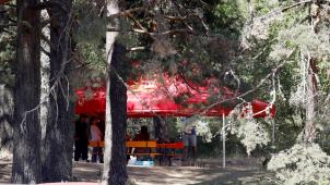 <p>Blick auf den Fundort der Leiche</p>