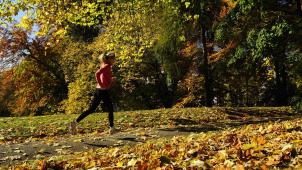 <p>Reporters_9162634</p>