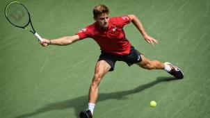 <p>David Goffin zeigt sich weiterhin in guter Form.</p>