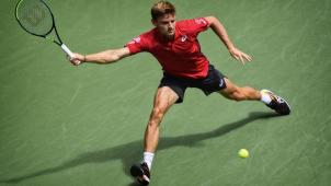 <p>Belgiens Tennis-Star David Goffin unterlag im Halbfinale.</p>