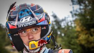 <p>Thierry Neuville</p>