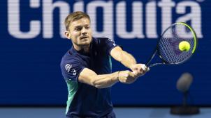 <p>David Goffin zeigte sich in Basel stark verbessert.</p>