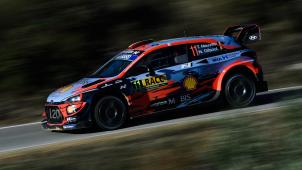 <p>BELGAIMAGE-157443942</p>