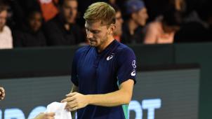 <p>David Goffin unterlag Grigor Dimitrov.</p>