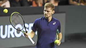 <p>David Goffin wird die belgische Mannschaft anführen.</p>