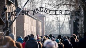 <p>Am Montag jährt sich zum 75. mal die Befreiung des Konzentrationslagers Auschwitz durch die Rote Armee. Von 1940 bis 1945 betrieb die SS den Komplex mit zahlreichen Außenlagern als Konzentrations- und Vernichtungslager.</p>