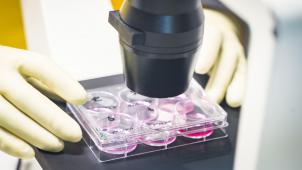 <p>Forscher arbeiten an der Entwicklung eines Impfstoffs gegen den Coronavirus.</p>