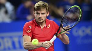 <p>David Goffin</p>