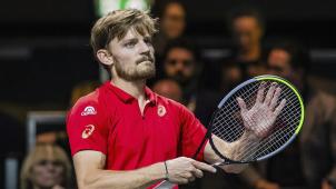 <p>David Goffin</p>