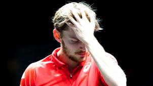 <p>David Goffin</p>