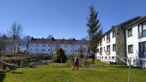 <p>bäume2</p>