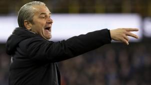 <p>Bernd Storck führte Cercle Brügge zum Klassenerhalt</p>