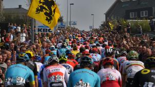 <p>Die Flandern-Rundfahrt hätte am Sonntag stattfinden sollen.</p>