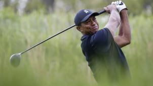 <p>Tiger Woods in Aktion</p>