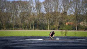 <p>In Belgien hat die Spargelernte begonnen. Doch das „weiße Gold“ droht auf den Feldern zu verderben, da es an Saisonarbeitern aus Osteuropa fehlt.</p>