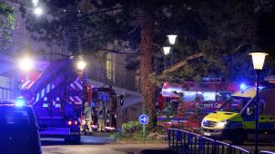 <p>Die Feuerwehr konnte die Lage schnell unter Kontrolle bringen.</p>