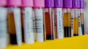 <p>Eine Herdenimmunität gegen das Coronavirus wird langsam aufgebaut.</p>