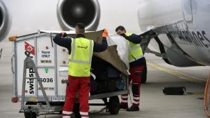 <p>Swissport Belgium ist der größe Abfertiger von Passagierflugzeugen am Brüsseler Flughafen</p>