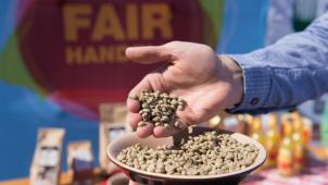 <p>Die Präferenz der Belgier für Fairtrade-Produkte stieg um 23%.</p>