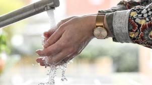 <p>Es gibt zahlreiche Arten von Desinfektionsmittel, jedoch reichen im Alltag Wasser und Seife vollkommen aus.</p>