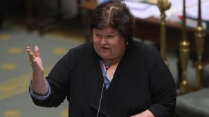 <p>Gesundheitsministerin Maggie De Block</p>