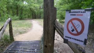<p>Wegen anhaltender Trockenheit gilt Code Rot für die Kesselse Heide in der Provinz Antwerpen.</p>