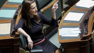 <p>Premierministerin Sophie Wilmès in der Kammer.</p>