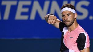 <p>Grigor Dimitrov</p>