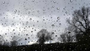 <p>belgaimage-146643021-full</p>