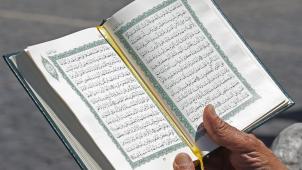 <p>Der Plan, einen besseren Einblick in die internen Strukturen der islamischen Gotteshäuser zu erhalten, ist laut Crisp gescheitert.</p>