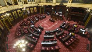 <p>Blick in den Senat</p>