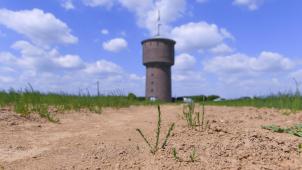 <p>Die Dürre nimmt vor allem im Süden des Landes immer weiter zu.</p>