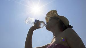 <p>Die Anzahl tropischer Tage im Sommer (mehr als 30 Grad Celsius) steigt von Jahr zu Jahr.</p>
