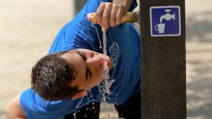 <p>Viel Trinken, am besten Wasser, hilft gegen die Hitze.</p>
