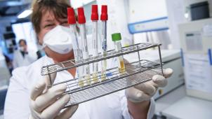 <p>Corona-Proben werden im Labor analysiert.</p>