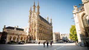 <p>Ein Blick auf das Löwener Rathaus</p>