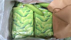 <p>Kokain in Bananenkisten verpackt: Das ist nicht selten, wie dieses Archivfoto, aufgenommen im Hafen von Antwerpen, zeigt.</p>