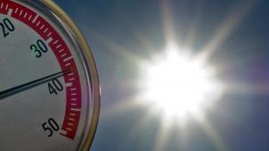 <p>Die Durchschnittstemperatur könnte bis zum Jahr 2100 um fünf Grad Celsius steigen.</p>
