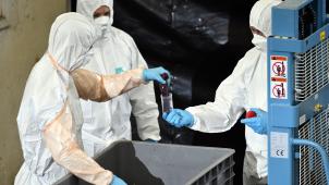 <p>Wissenschaftler untersuchen in Virton einen Tierkadaver.</p>