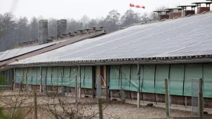 <p>In Belgien herrscht weiter eine Stallpflicht für Geflügel und in Gefangenschaft gehaltenen Vögeln.</p>