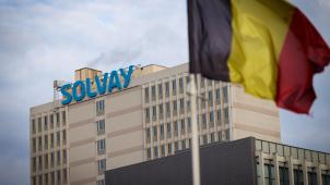 <p>Die Erben der Gründer des Chemiekonzerns Solvay haben systematisch Offshore-Firmen genutzt, um ihre Firmenanteile zu verstecken.</p>