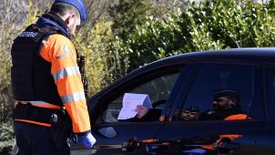 <p>Auch im kleinen Grenzverkehr muss bei einer Kontrolle eine Erklärung auf Ehrenwort vorgezeigt werden.</p>