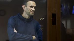 <p>Alexej Nawalny ist Russlands bekanntester Kritiker Wladimir Putins.</p>