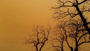 <p>Schwaden aus Wüstenstaub können den Himmel rot färben und Spuren auf Fenstern und Windschutzscheiben hinterlassen - ob das auch diesmal der Fall sein wird, ist bisher noch unklar.</p>